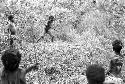 Samuel Putnam negatives, New Guinea. child raises a spear to throw it at the hoop