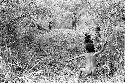 Samuel Putnam negatives, New Guinea.A child raises a spear to throw it at the hoop