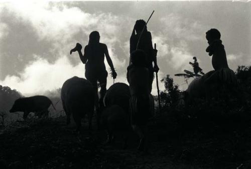 Samuel Putnam negatives, New Guinea.a family and their pigs coming along the road