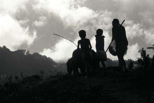 Samuel Putnam negatives, New Guinea.a family and their pigs coming along the road