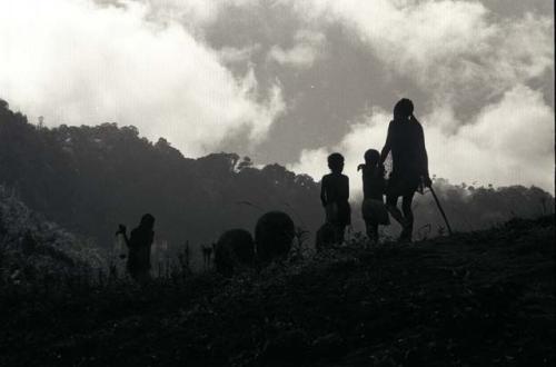 Samuel Putnam negatives, New Guinea.a family and their pigs coming along the road