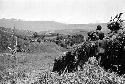 Samuel Putnam negatives, New Guinea. Tukom sits and watches out over the valley