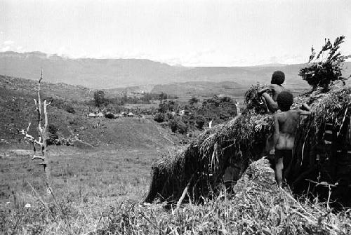 Samuel Putnam negatives, New Guinea. Tukom sits and watches out over the valley