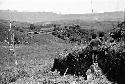 Samuel Putnam negatives, New Guinea.Tukom sits and watches out over the valley; Abukulmo in the distance