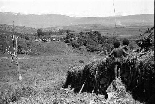 Samuel Putnam negatives, New Guinea.Tukom sits and watches out over the valley; Abukulmo in the distance