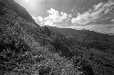 Samuel Putnam negatives, New Guinea, wide angle; scenic; the valley; high on the eastern wall