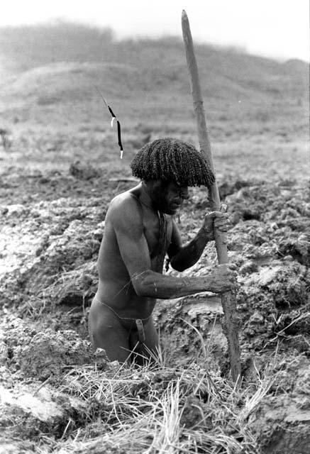 Man works in the field with a digging stick