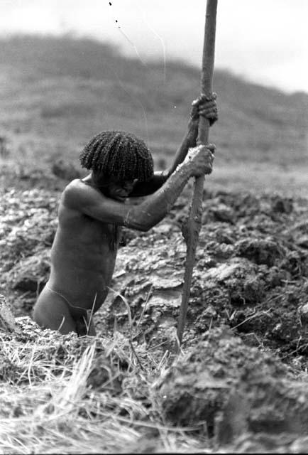 Man works in the field with a digging stick