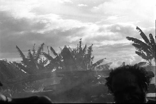 Samuel Putnam negatives, New Guinea;  a woman mourning; detail