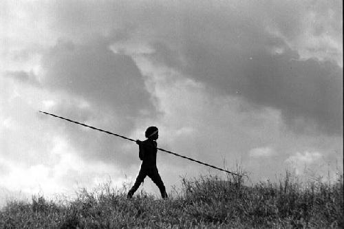 Samuel Putnam negatives, New Guinea; single spearman walking along the ridge