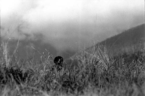 Samuel Putnam negatives, New Guinea; Asikanilep hidden by the grass making his way thru