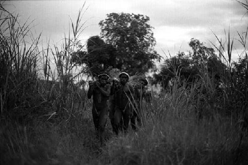 Wounded man being carried out of the lokop marsh