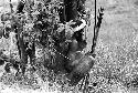 Samuel Putnam negatives, New Guinea; a man waits under a small shrub for the battle to develop