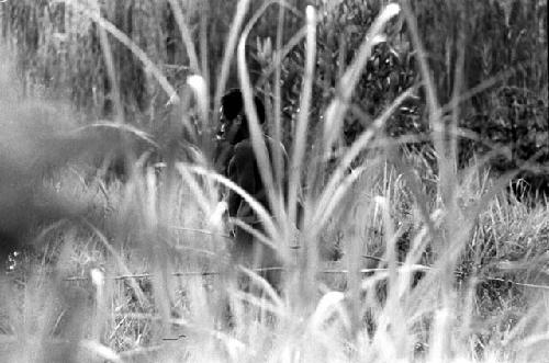 Samuel Putnam negatives, New Guinea; man deep in the Lokop marsh