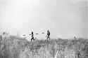 Samuel Putnam negatives, New Guinea; a couple of warriors running