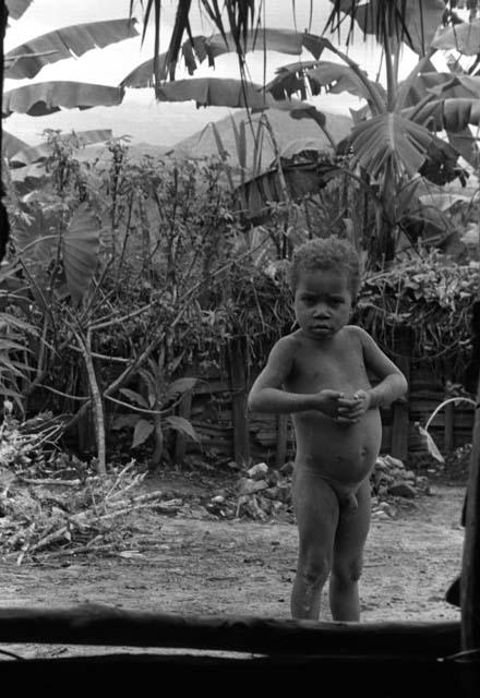 Samuel Putnam negatives, New Guinea; child looks into the honai