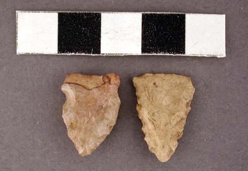 Chipped stone projectile points, one triangular, one side-notched