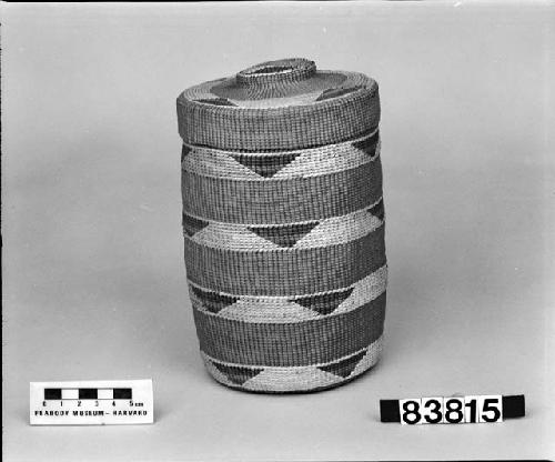 Cylindrical basket with lid. From the collection of Lt. Woodworth, CA, 1878. Plain twined, false embroidery.