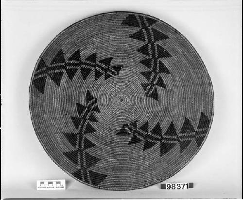 Tray. From unknown collection. Coiled, some split stitches, three rod.