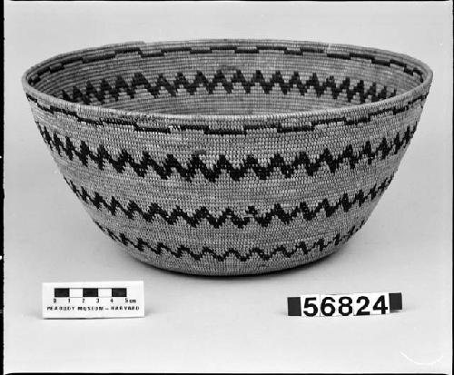 Food bowl from the collection of F.W. Putnam, 1901. Coiled, non-interlocking stitches.