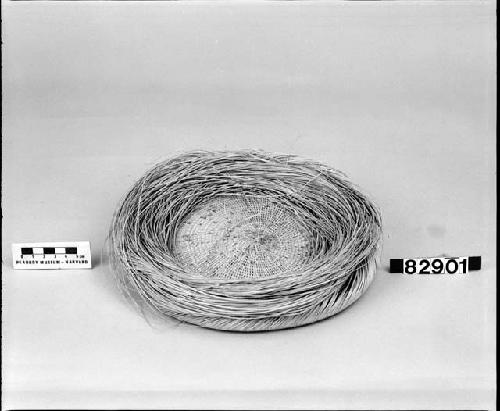 Unfinished basket from the collection of T.A. Jaggar, Jr., 1907. Plain open twined.