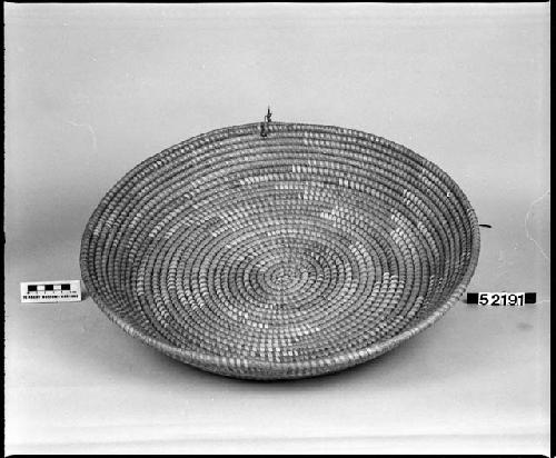 Coiled basket tray, from the collection of Captain J. Adams.