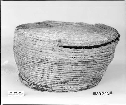 Large basket from a cave in the San Martin Mountains, outside of Los Angeles, So. California. Gift of Dr. Stephen Bowers, 1885.