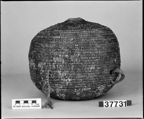 Basketwork water jar, found in the ruins of the Old Jamez Church, New Mexico. Gift of A. Agassiz, 1884-85.