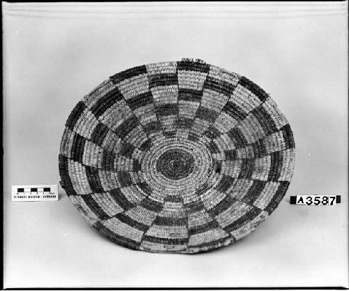 Basket, said to have been bought from the Hopis, 1917.