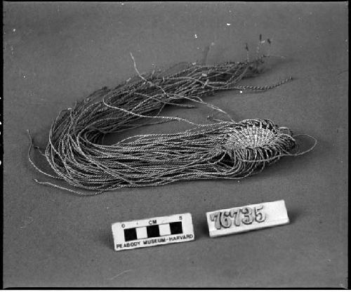 Tule wallet containing basket materials, etc. Gift of L.H. Farlow, 1910.