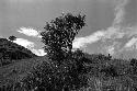 Samuel Putnam negatives, New Guinea; a man sits on the Anelerak