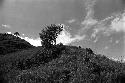 Samuel Putnam negatives, New Guinea; a man sits on the Anelerak