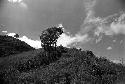 Samuel Putnam negatives, New Guinea; a man sits on the Anelerak