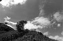 Samuel Putnam negatives, New Guinea; a man sits on the Anelerak