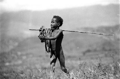 Samuel Putnam negatives, New Guinea; young boy with many hoops in his spear; he is going home