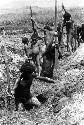 Samuel Putnam negatives, New Guinea;men working in a garden ditch