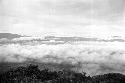 Samuel Putnam negatives, New Guinea;  view to the north;  mist of the valley.