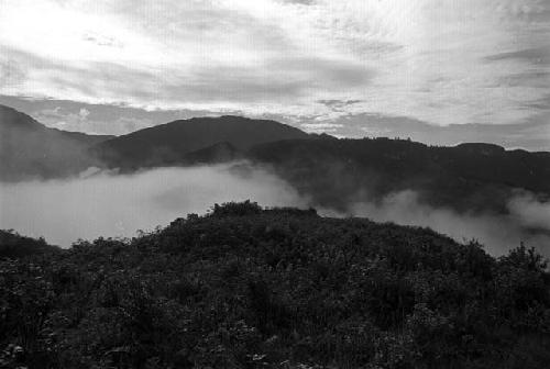 Samuel Putnam negatives, New Guinea; mist in the valley.