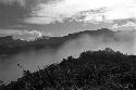 Samuel Putnam negatives, New Guinea; mist in the valley.