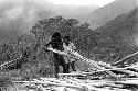 Samuel Putnam negatives, New Guinea;  men working on putting up the building at Kibit Silimo