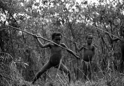 Samuel Putnam negatives, New Guinea; Tukom about to throw his spear at a rolling hoop