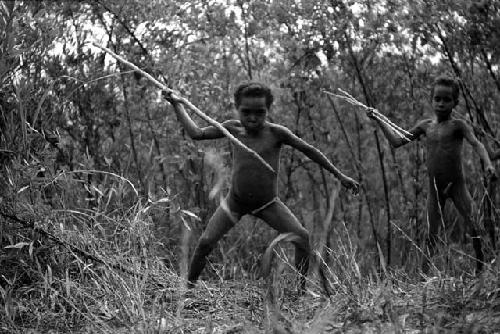 Samuel Putnam negatives, New Guinea; Tukom has just thrown his spear at a hoop that comes by; hoop rolling