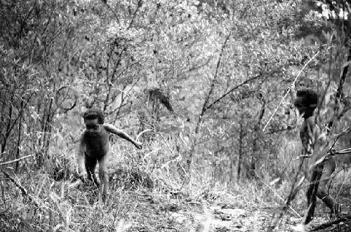 Samuel Putnam negatives, New Guinea; Tukom has thrown a spear at a hoop that rolled past him