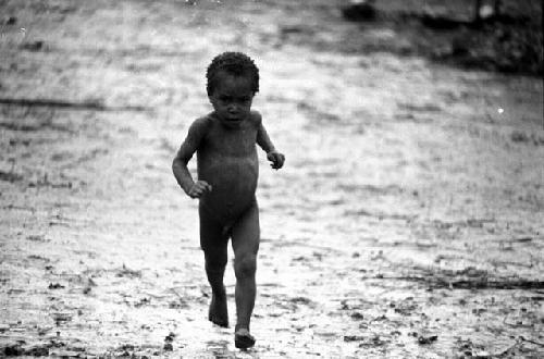 Samuel Putnam negatives, New Guinea; Natorek walks in the sili of Wuperainma