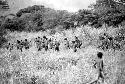 Samuel Putnam negatives, New Guinea; men and boys running in the direction of the Willigima; they are going to a war on another front than the usual one near Homoak