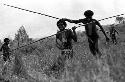 Samuel Putnam negatives, New Guinea; 4 young men running with spears or bows and arrows