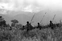 Samuel Putnam negatives, New Guinea; 4 or 5 warriors going north toward the Willigima front