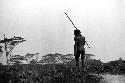 Samuel Putnam negatives, New Guinea; one warrior walking on the trail north past the Elokhere; walking in a garden enar the wiki trees