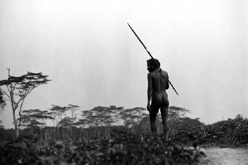 Samuel Putnam negatives, New Guinea; one warrior walking on the trail north past the Elokhere; walking in a garden enar the wiki trees