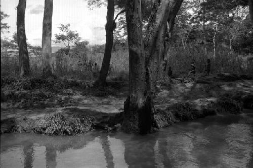 Samuel Putnam negatives, New Guinea; people near the Elokhere